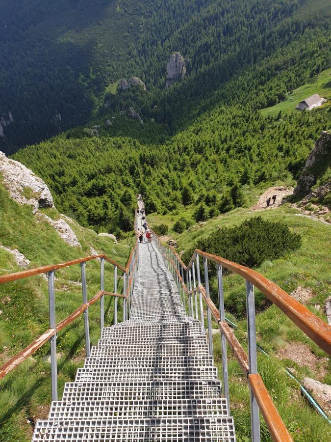 Casa Tucan Ceahlău 외부 사진